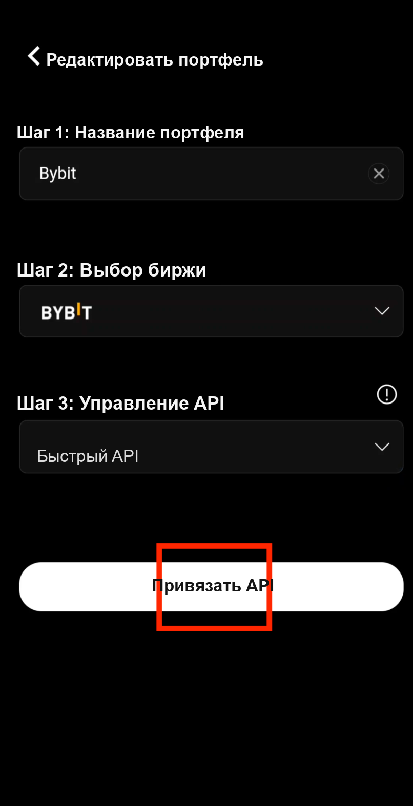 Начало привязки Bybit через Fast API