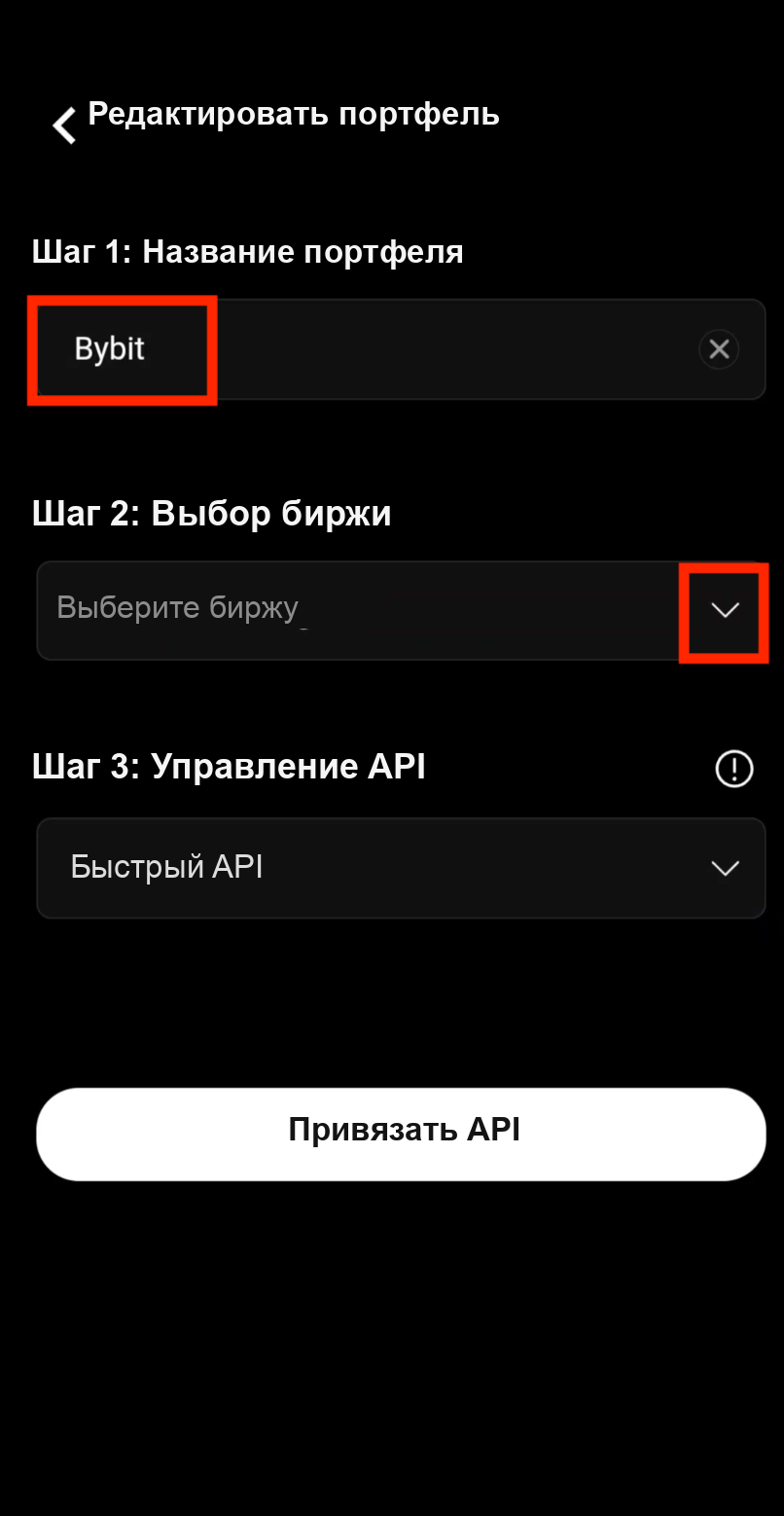 Ввод названия портфеля и выбор биржи Bybit