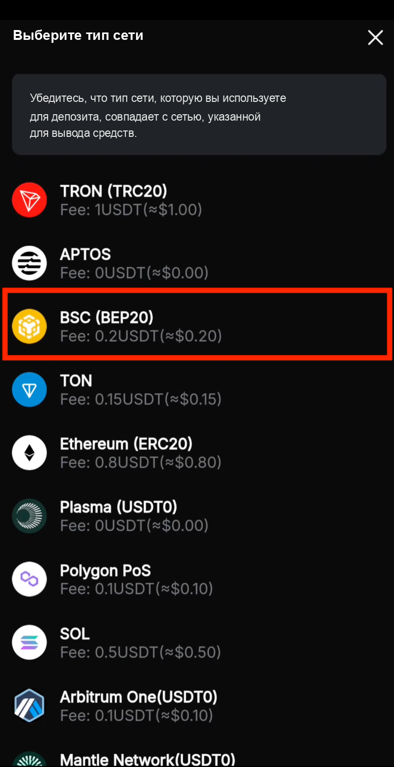 Выбор сети BEP20 на Bybit