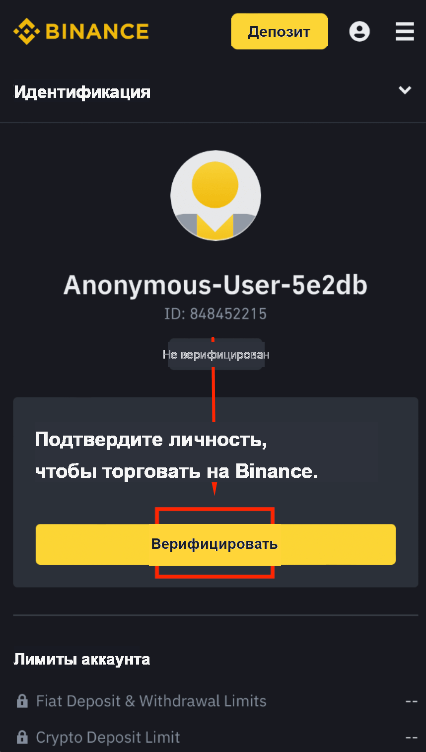 Начало верификации личности KYC на Binance