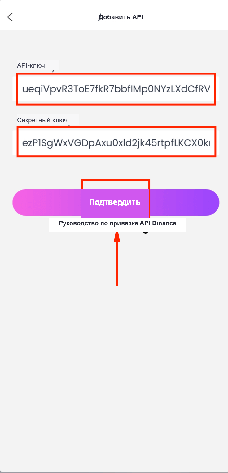 Вставка API Key и Secret Key в CoinTech2u