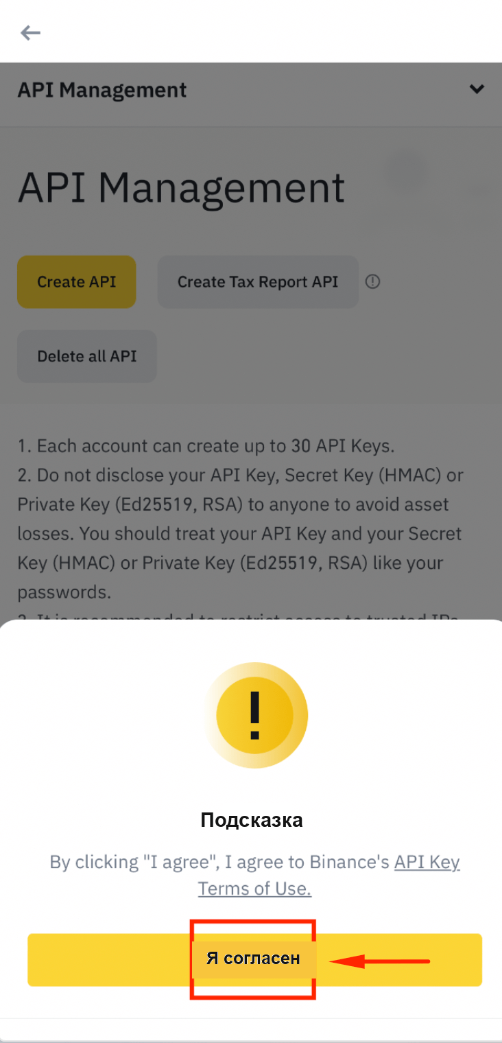 Принятие условий использования API Binance