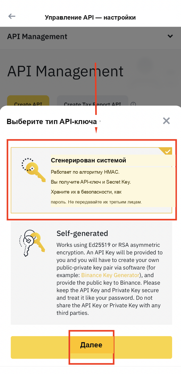 Параметр сгенерированного системой API-ключа