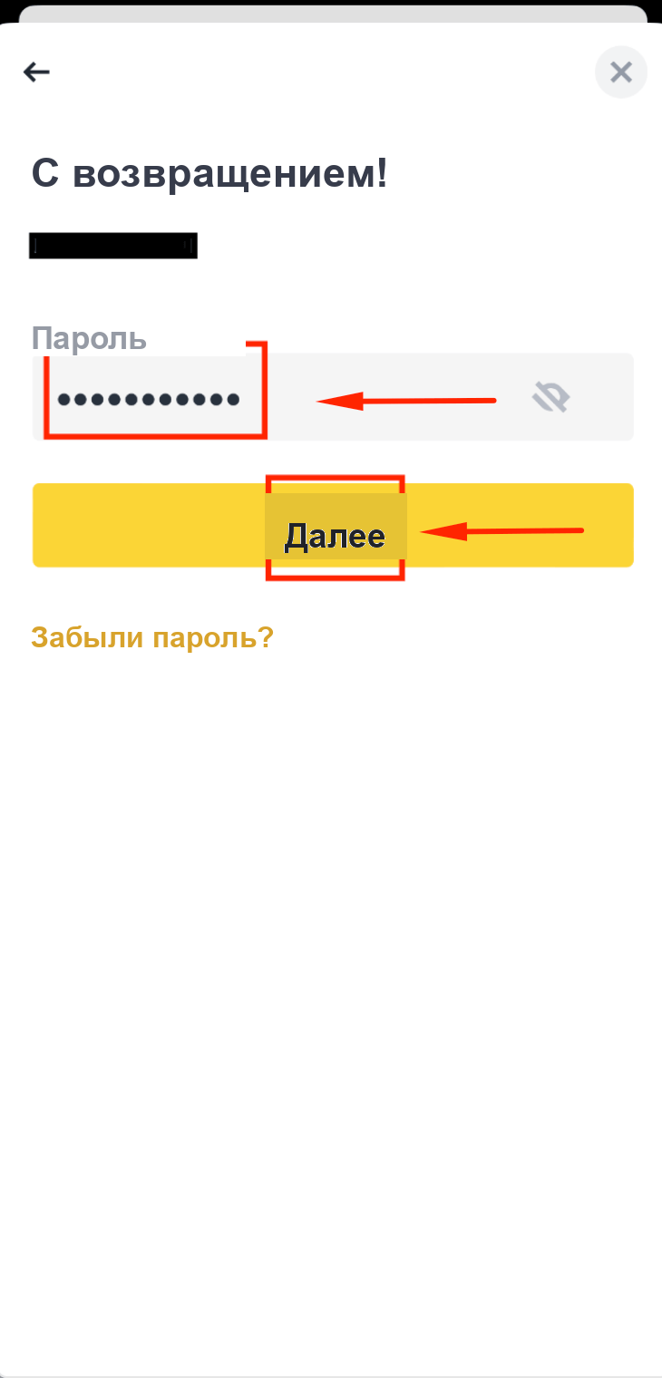 Ввод пароля субаккаунта в Binance