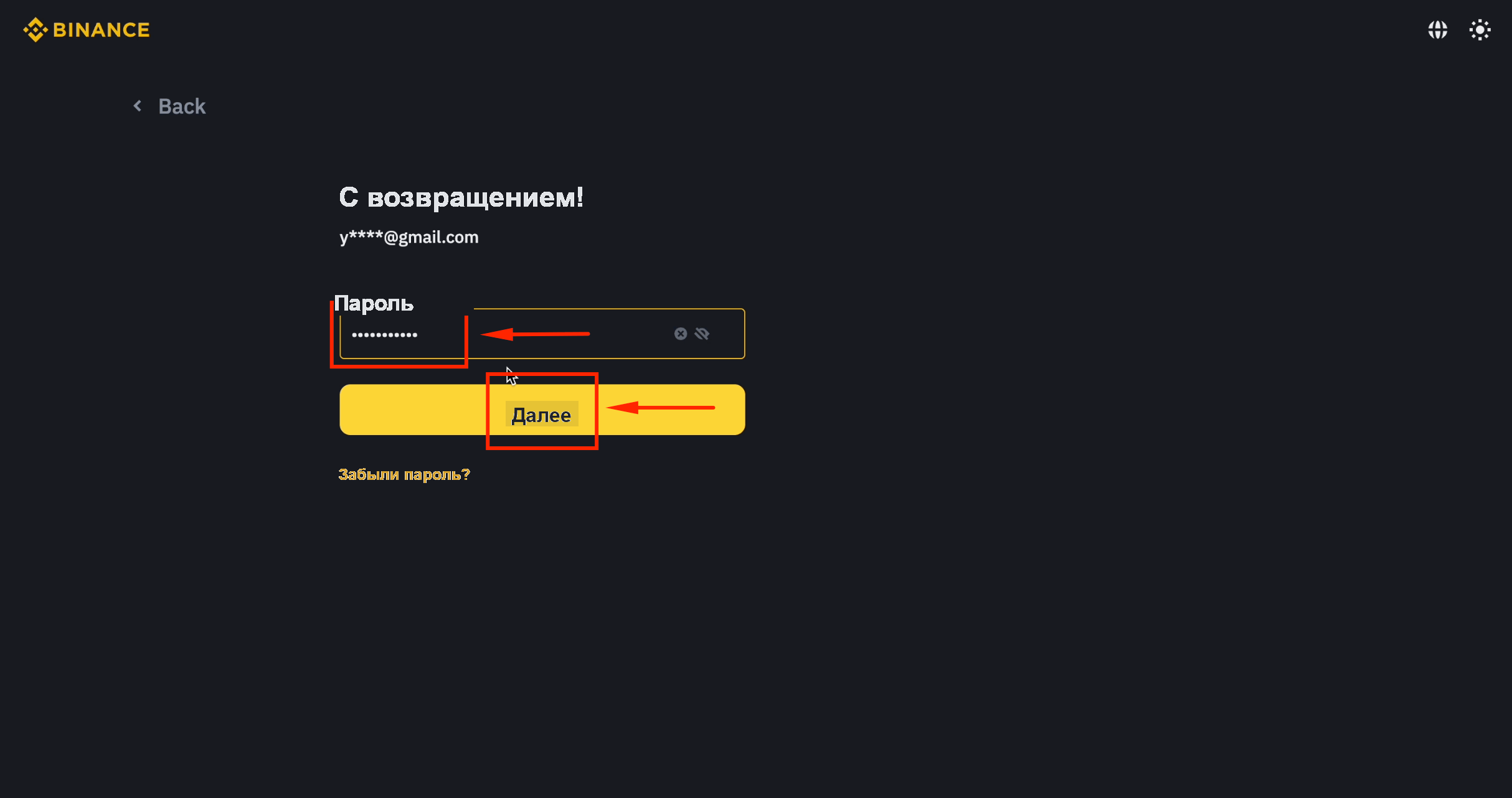 Ввод пароля Binance